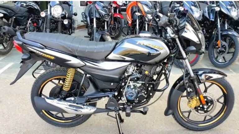 Bajaj Platina 110 Bike