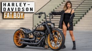 टू व्हीलर मार्केट में धमाल मचाने आई Harley Davidson Fat Boy बाइक, धाकड़ फीचर्स में सबसे खास